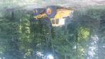 Garnitura za otpremu - forwarder VOLVO 868  |  Šumarska tehnika | Мašine za obradu drveta | Adam