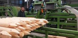 Druga oprema Kompletn výroní Linka kulů . |  Tehnika za pilanje | Мašine za obradu drveta | Drekos Made s.r.o