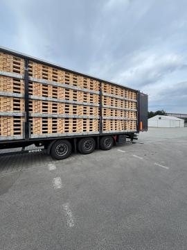 Palete Jednokratne palete |  Ambalaža, palete | Woodproo s.r.o.