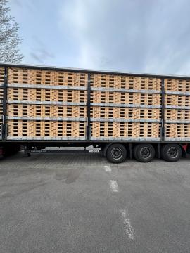 Palete Jednokratne palete |  Ambalaža, palete | Woodproo s.r.o.