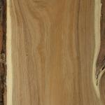 Bagrem Gradjevinska rezana gradja |  Tvrdo drvo | Rezana gradja | Lesprom-ug