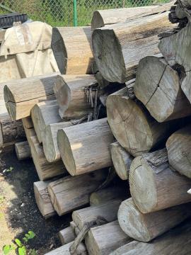 Teak Trupci za pilanje |  Tropsko drvo | Trupci / balvani | SOFT IT SP .ZO.O SPÓŁKA Z OGRANICZONĄ ODPO