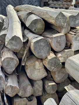 Teak Trupci za pilanje |  Tropsko drvo | Trupci / balvani | SOFT IT SP .ZO.O SPÓŁKA Z OGRANICZONĄ ODPO