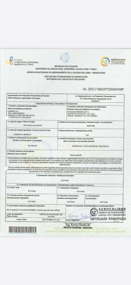 Teak Stolarska rezana gradja |  Tropsko drvo | Rezana gradja | SOFT IT SP .ZO.O SPÓŁKA Z OGRANICZONĄ ODPO