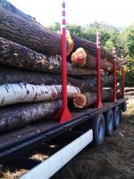 Topola Trupci za furnir |  Tvrdo drvo | Trupci / balvani | Pristaš